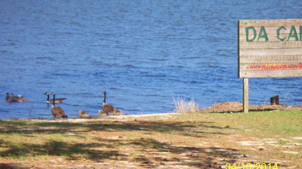 Photo of Others in Negreet
