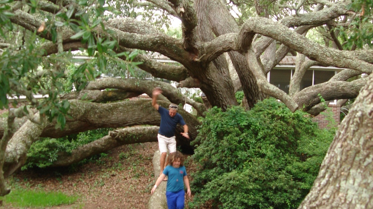 Photo of Others in Sullivan's Island