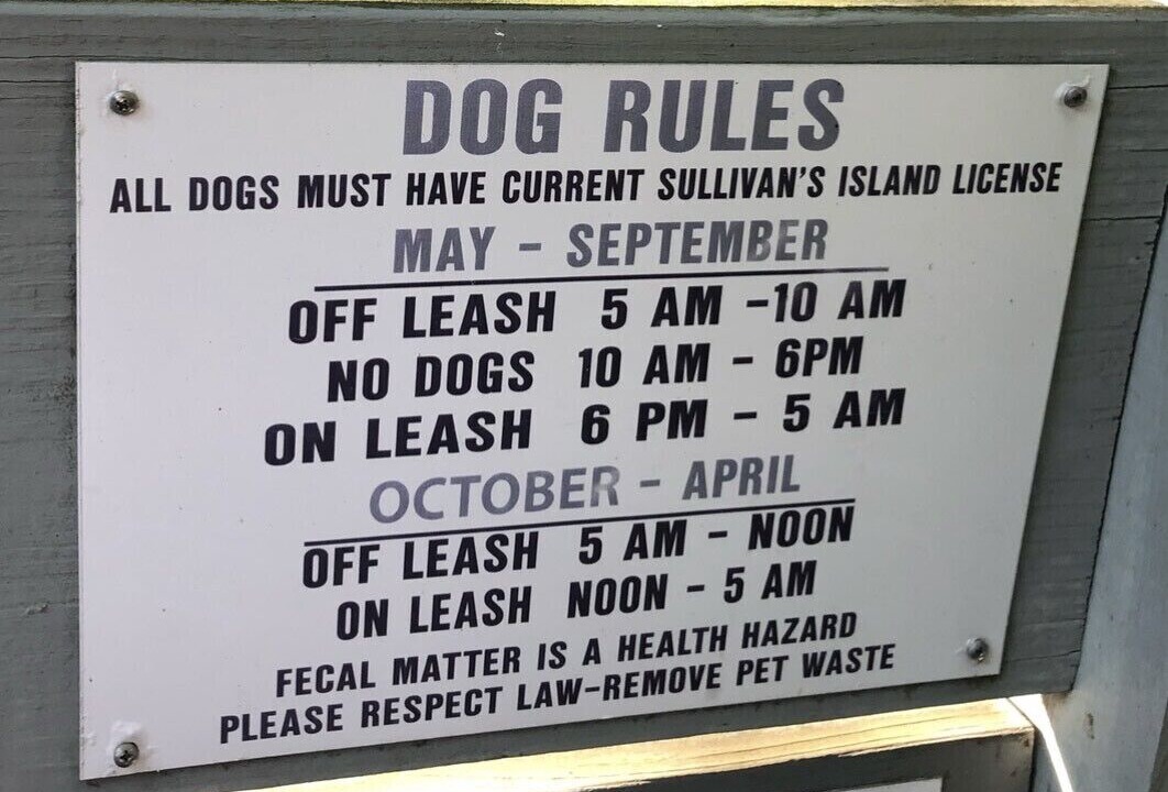 Photo of Others in Sullivan's Island