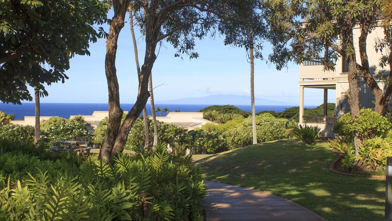 Photo of Outdoor in Wailea