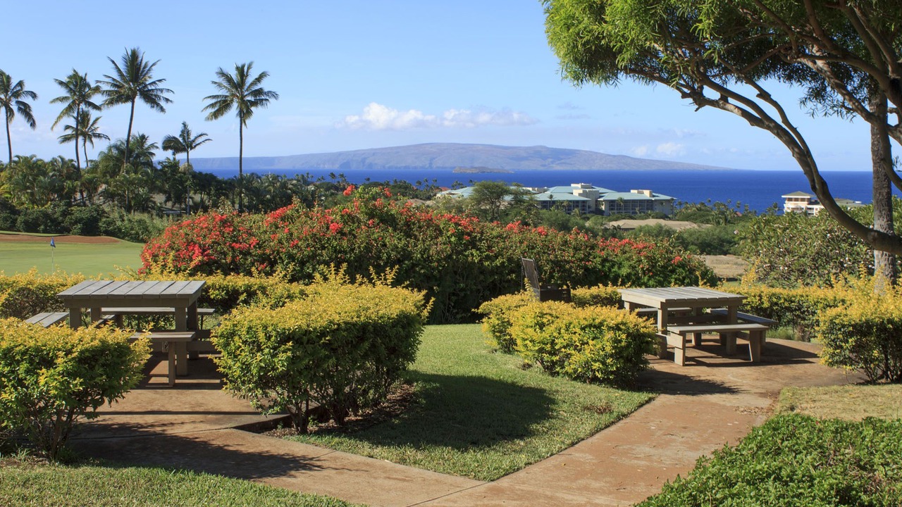 Photo of Outdoor in Wailea