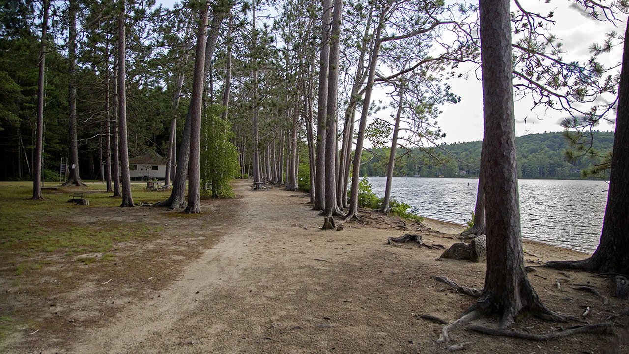 Photo of Others in North Sutton