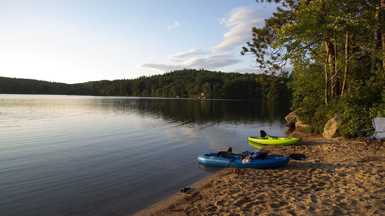 Photo of Others in North Sutton