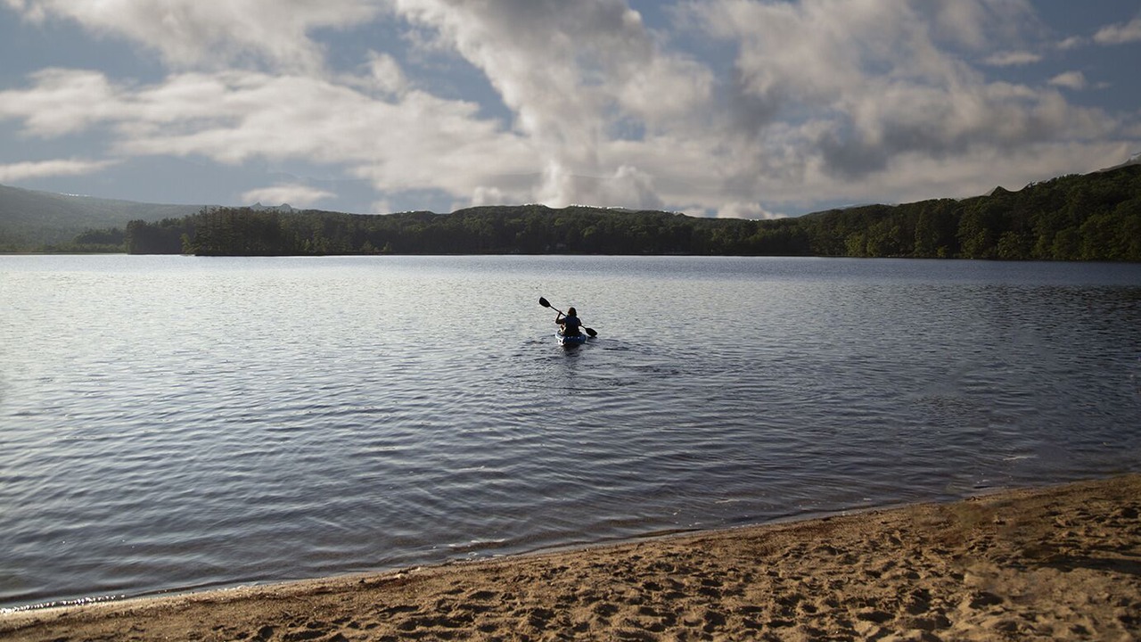 Photo of Others in North Sutton