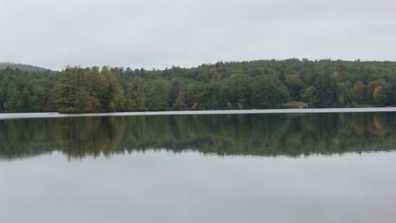 Photo of Outdoor in North Sutton