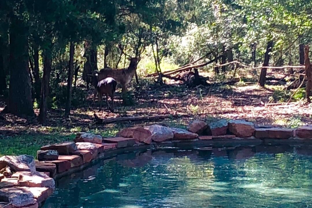 Photo of Outdoor in Bryan