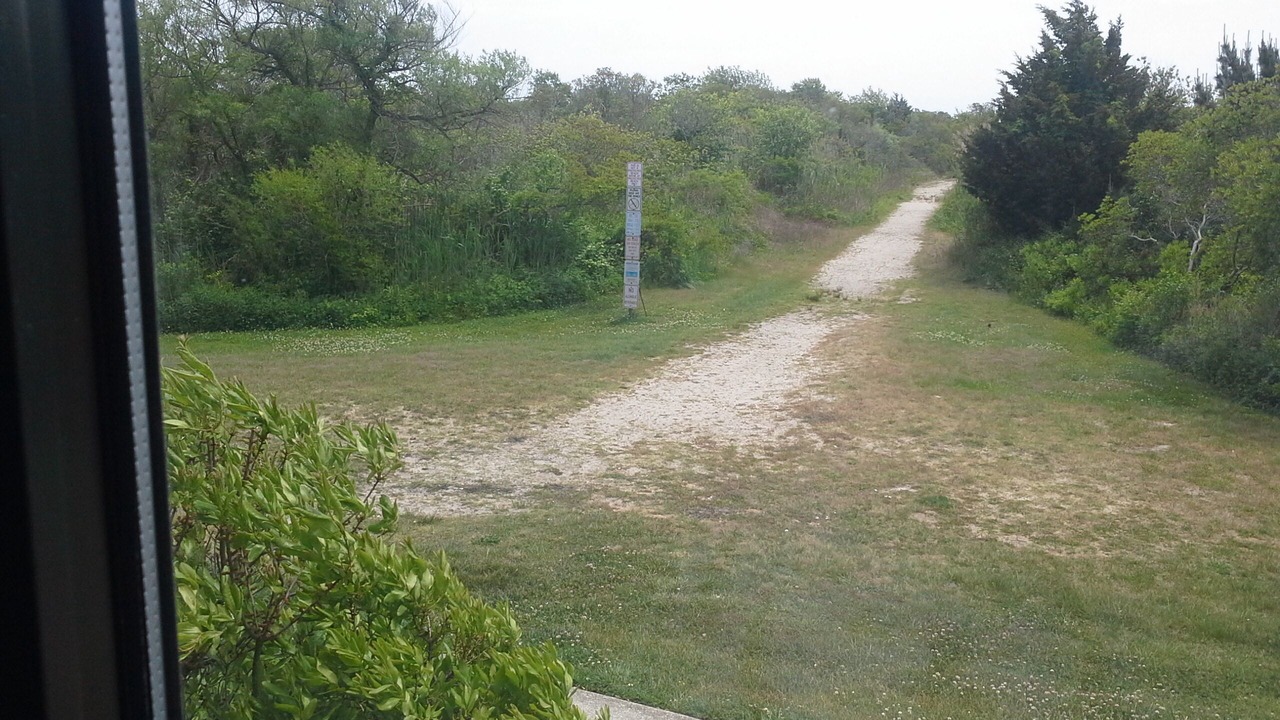 Photo of Others in Southend