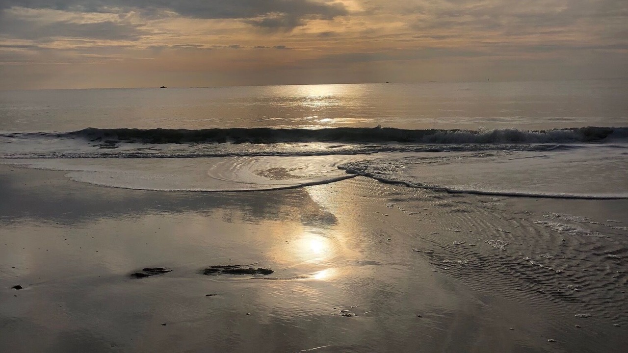 Photo of Others in Southend