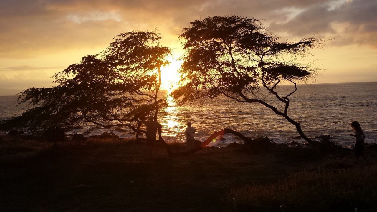 Photo of Others in Kihei