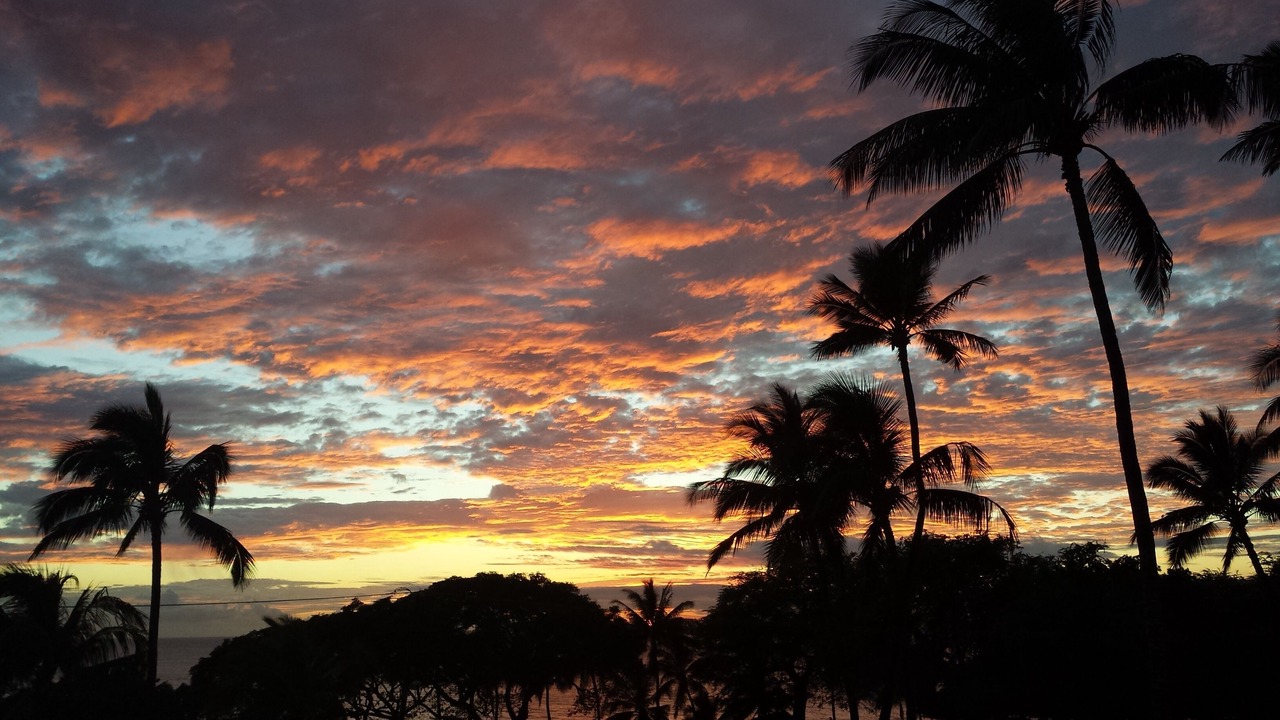 Photo of Others in Kihei