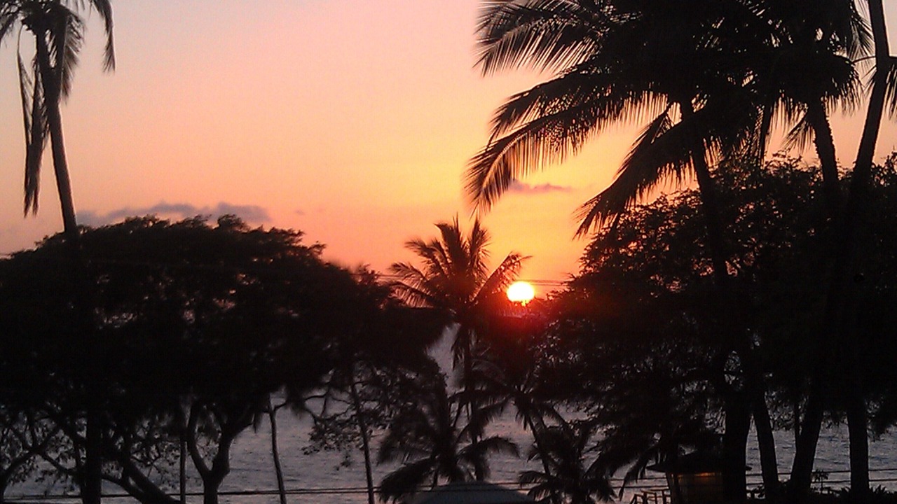 Photo of Others in Kihei