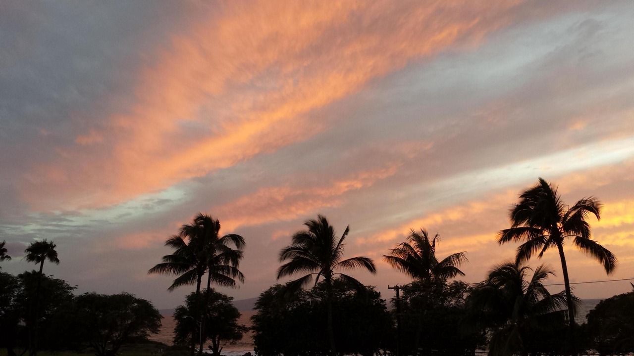 Photo of Others in Kihei