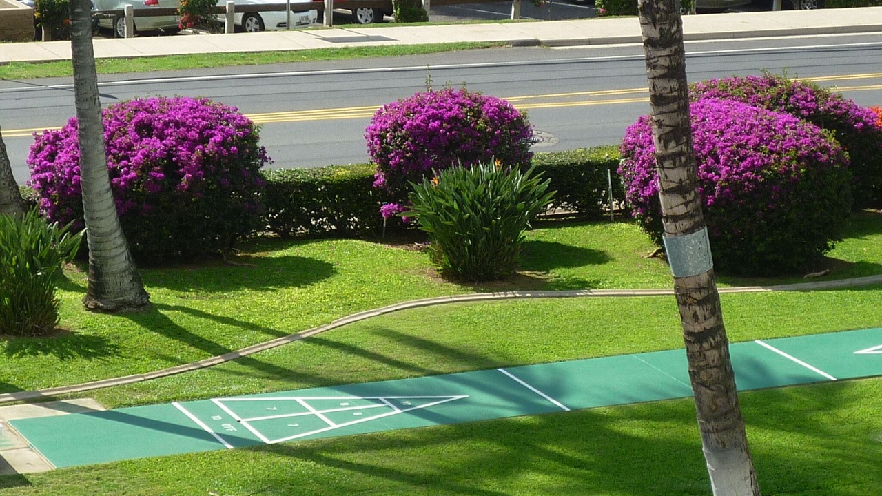 Photo of Others in Kihei