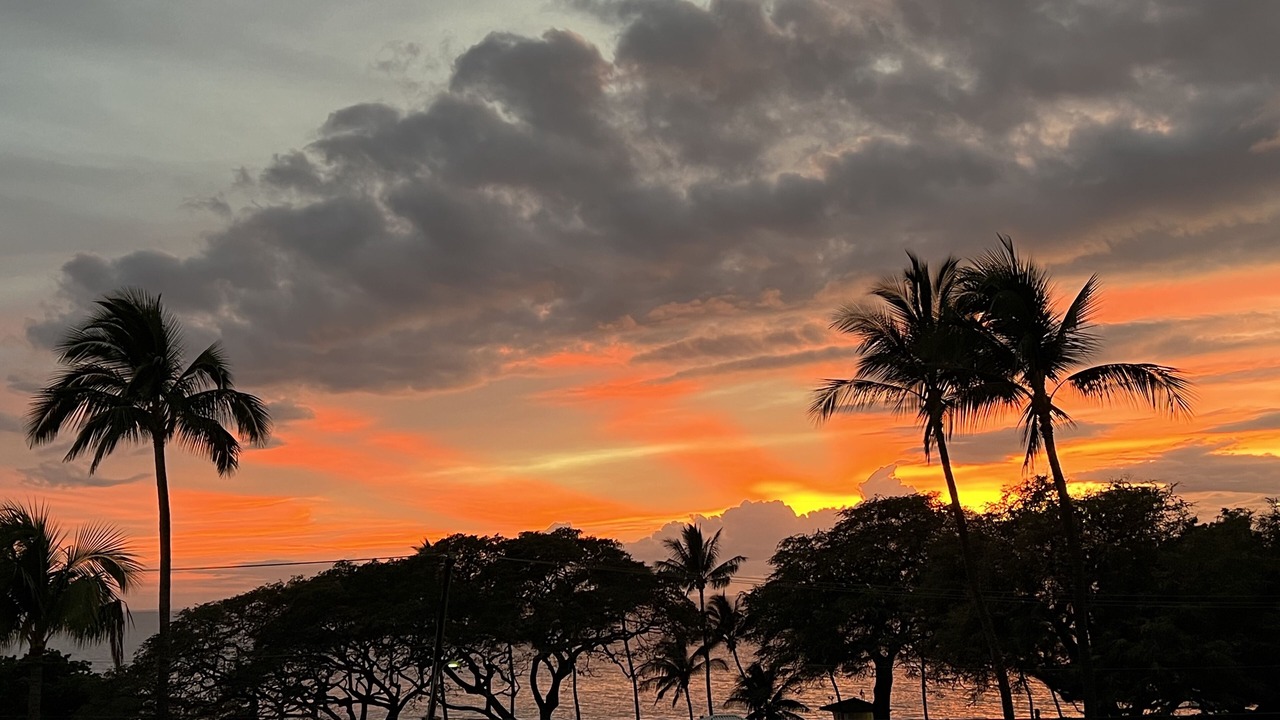 Photo of Others in Kihei