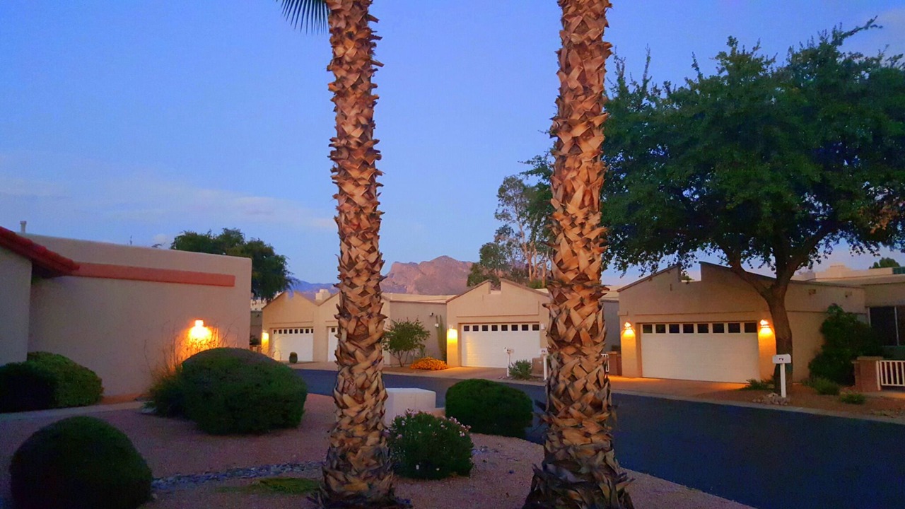 Photo of Others in Casas Adobes