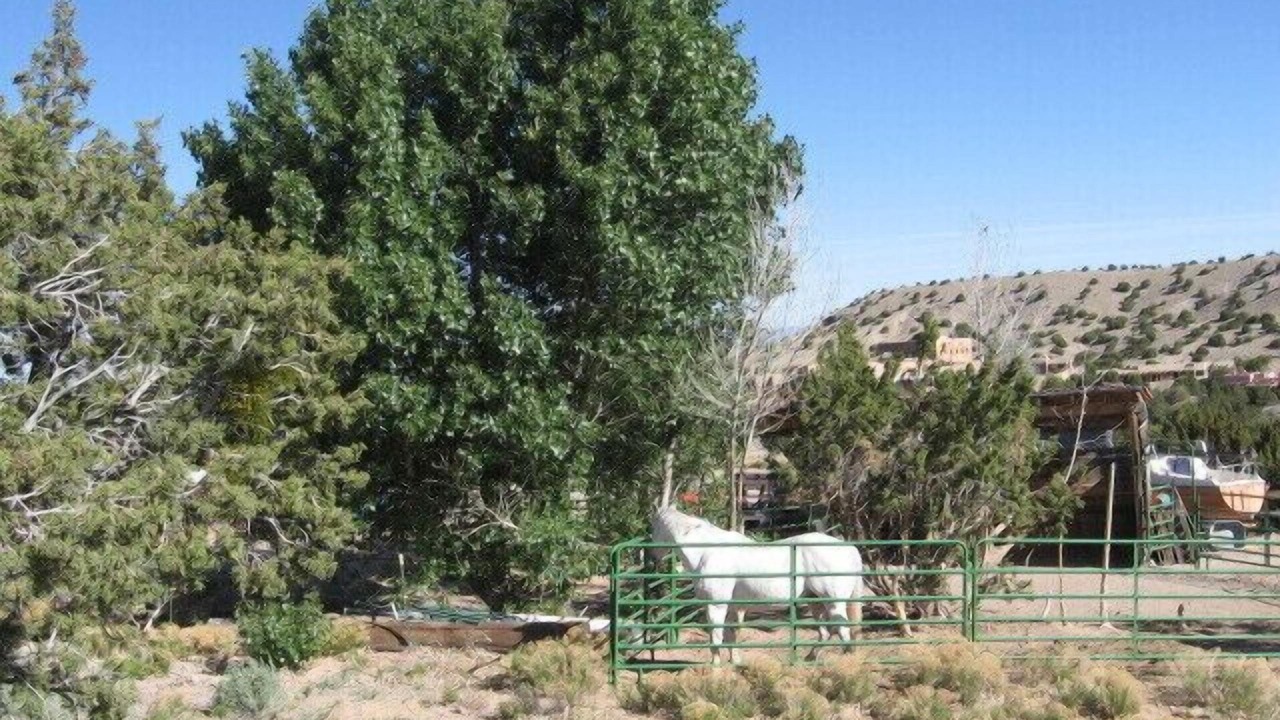 Photo of Others in Placitas