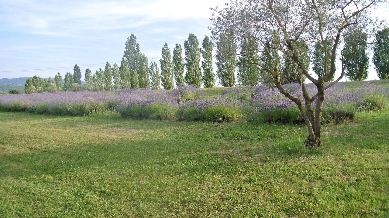 Photo of Outdoor in Forcalquier