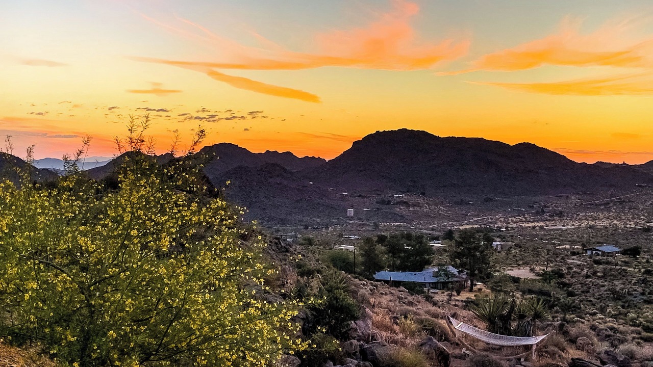Photo of Others in Joshua Tree Highlands