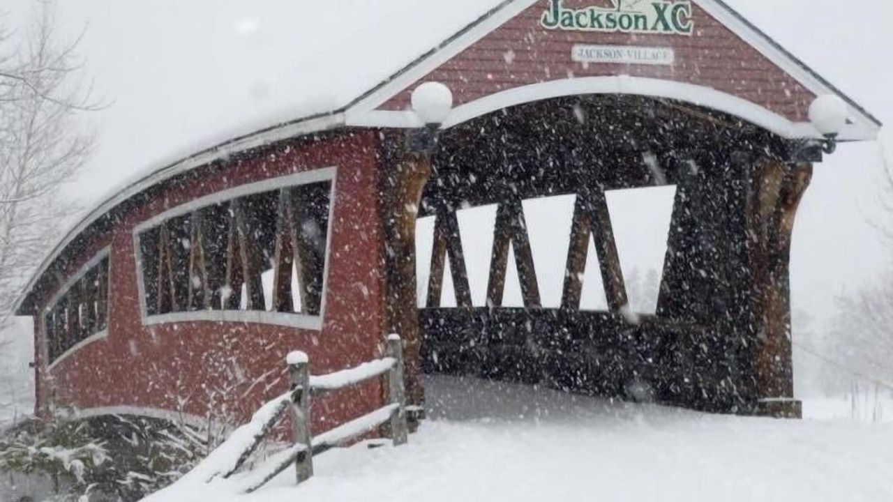 Photo of Others in Jackson