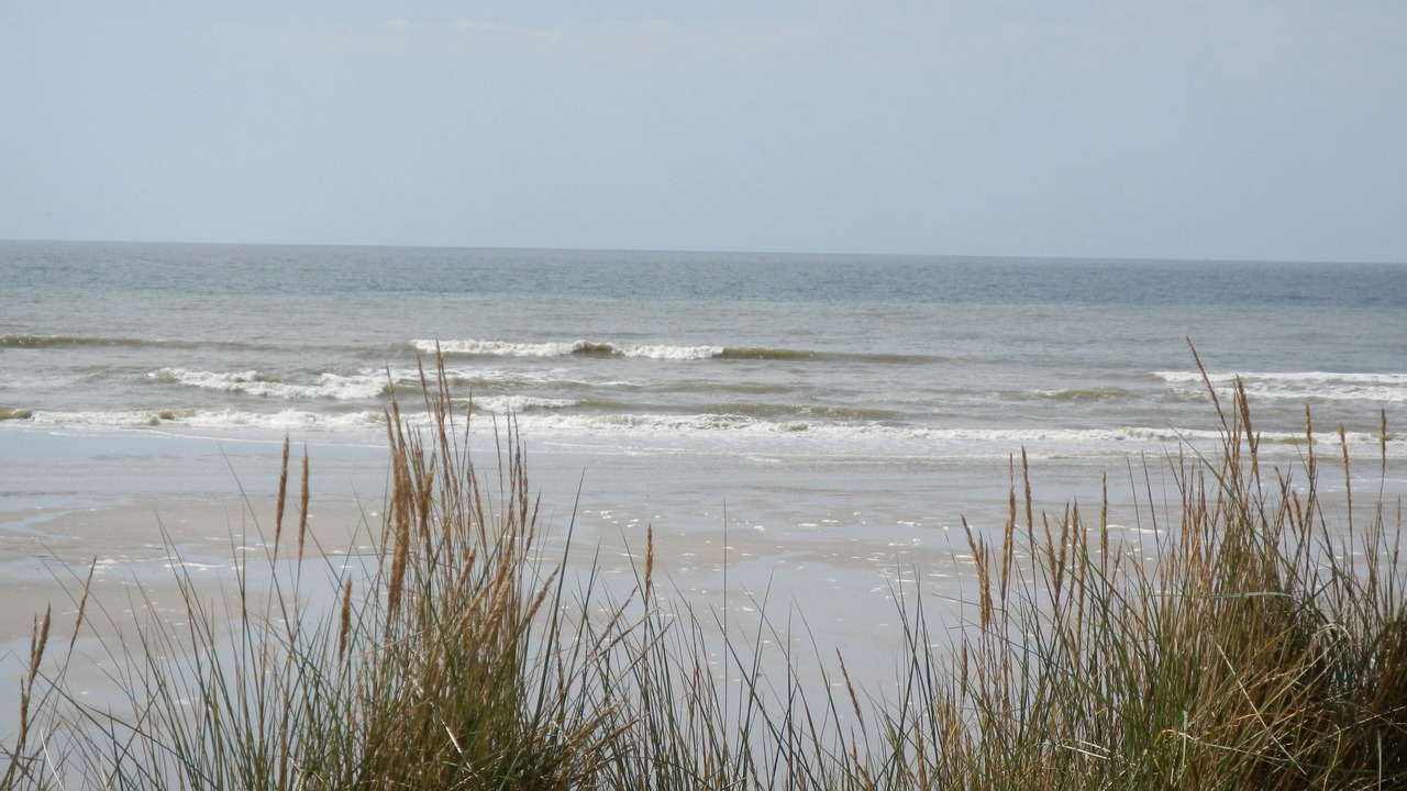 Photo of Others in Hardelot-Plage