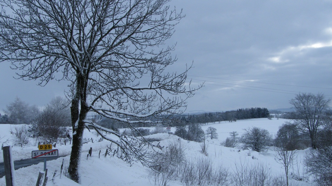 Photo of Others in Saint-Donat