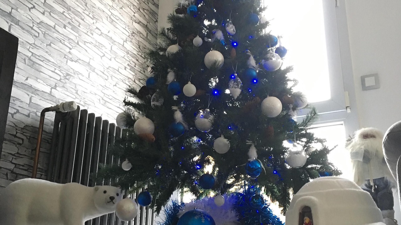 Photo of Others in Dunkirk