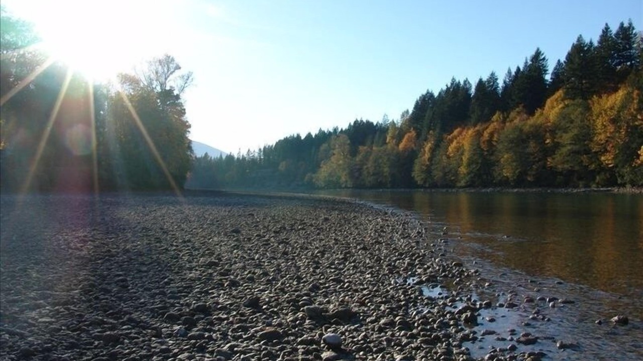Photo of Others in Concrete