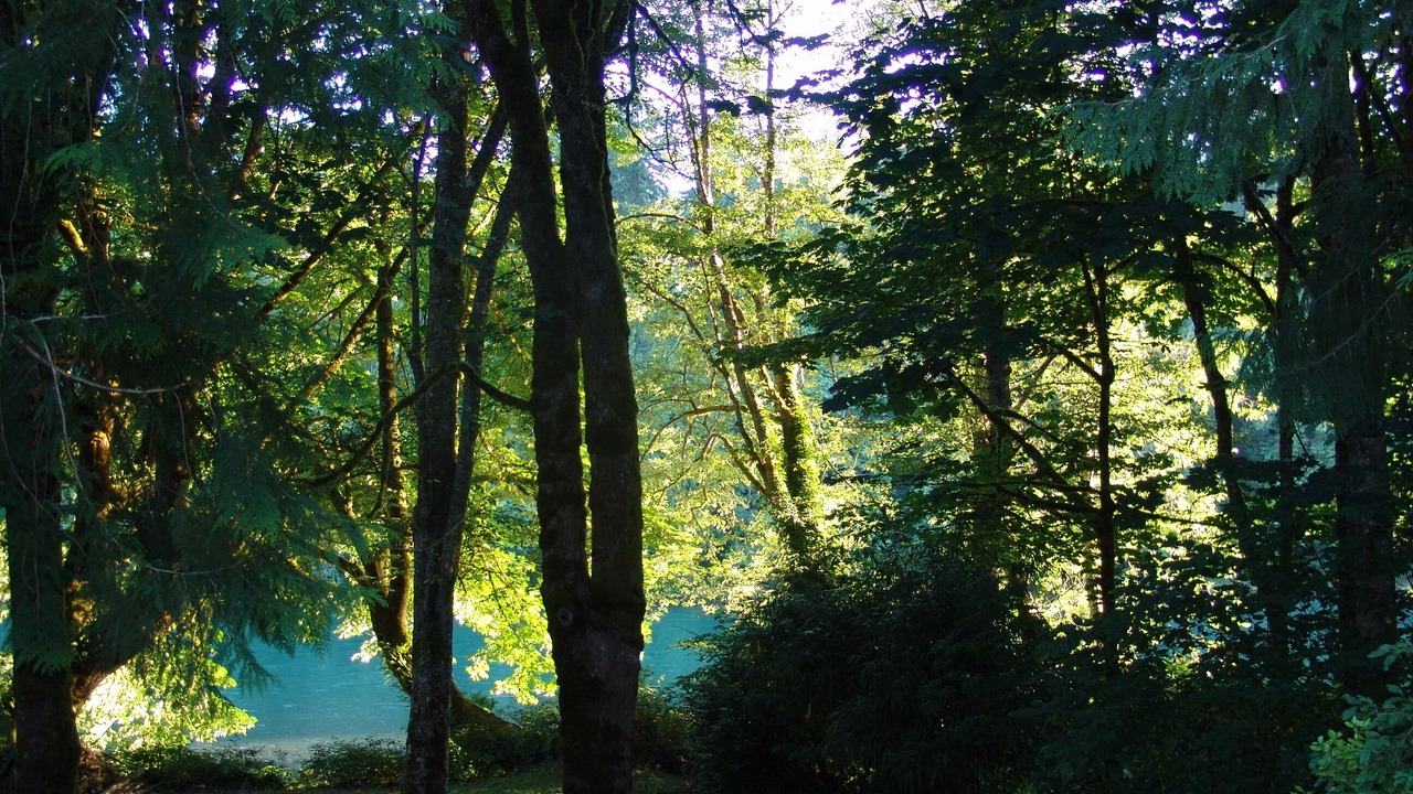 Photo of Others in Concrete