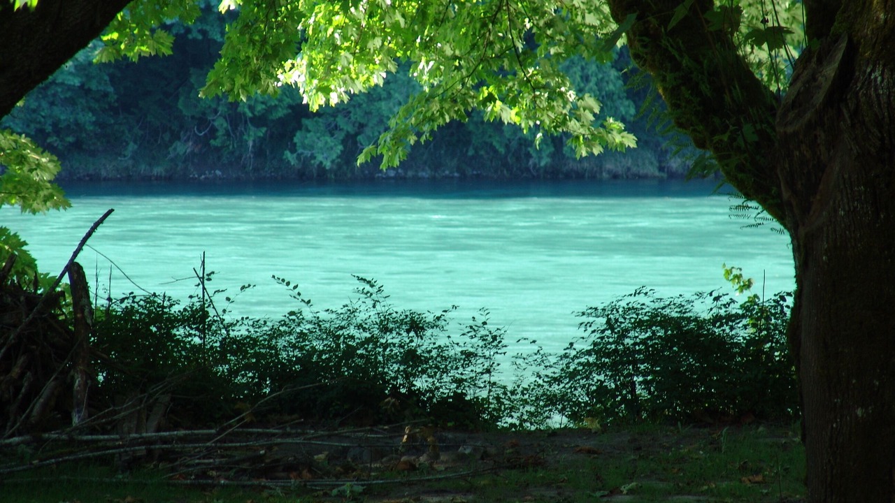 Photo of Others in Concrete