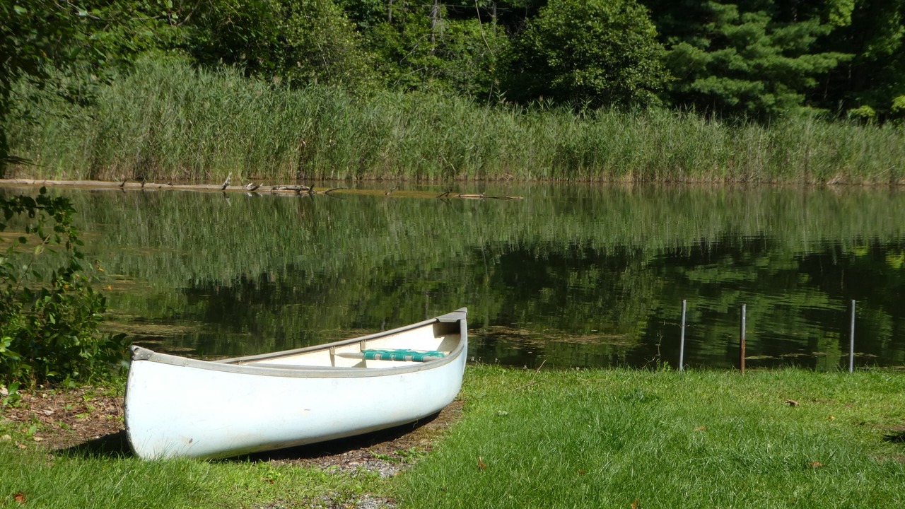 Photo of Outdoor in Lee