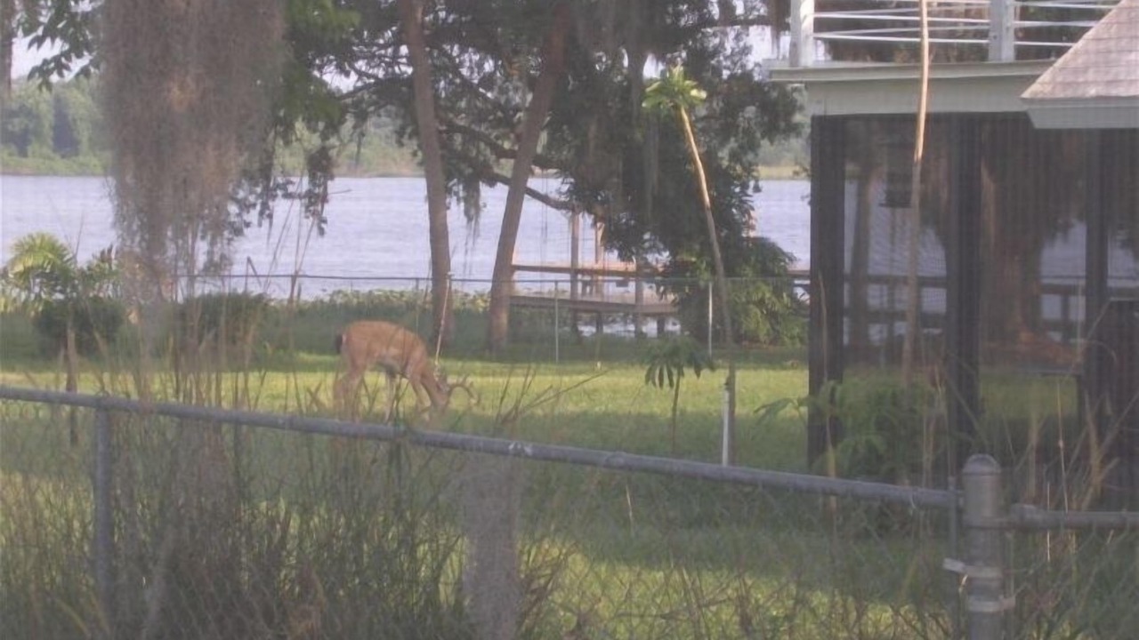 Photo of Others in Highland
