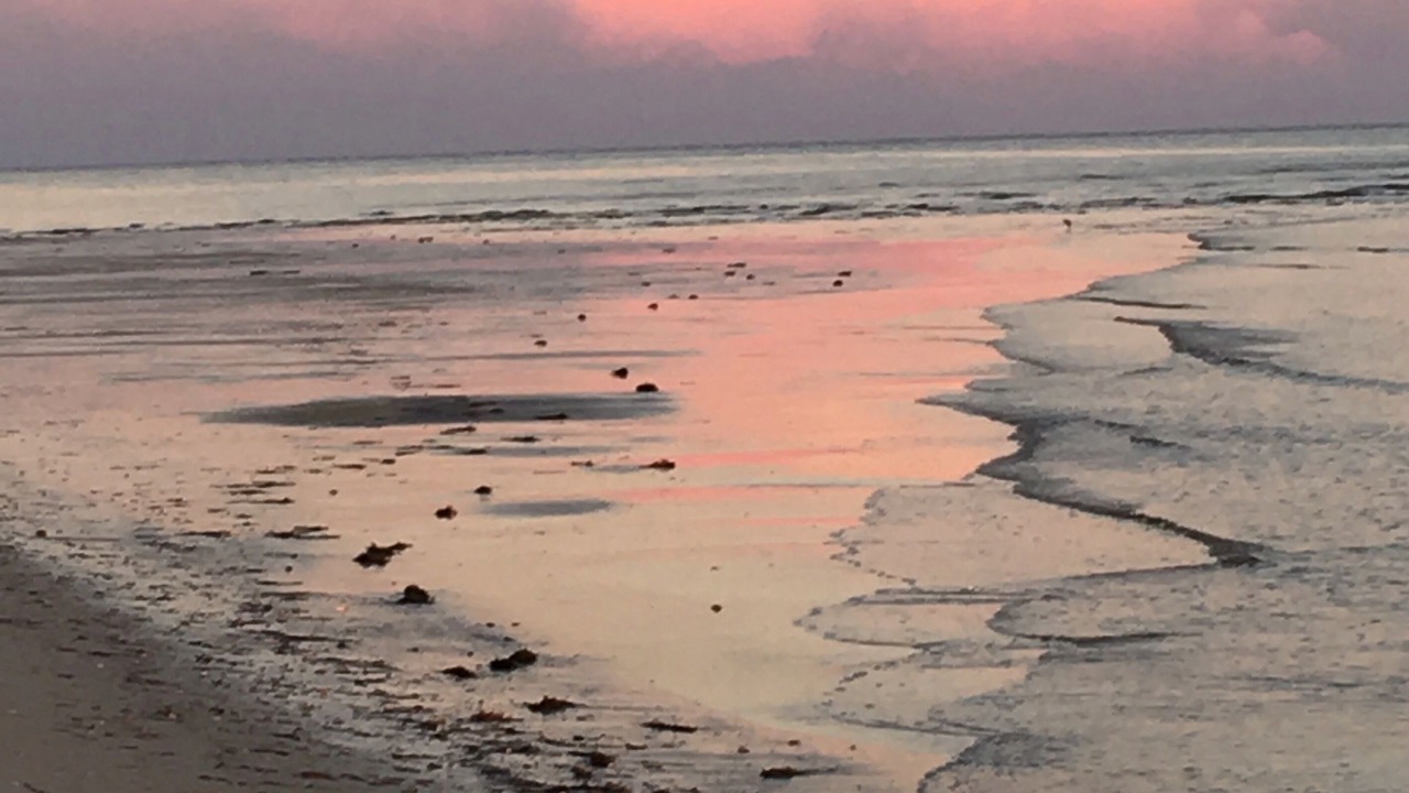 Photo of Others in Alligator Point