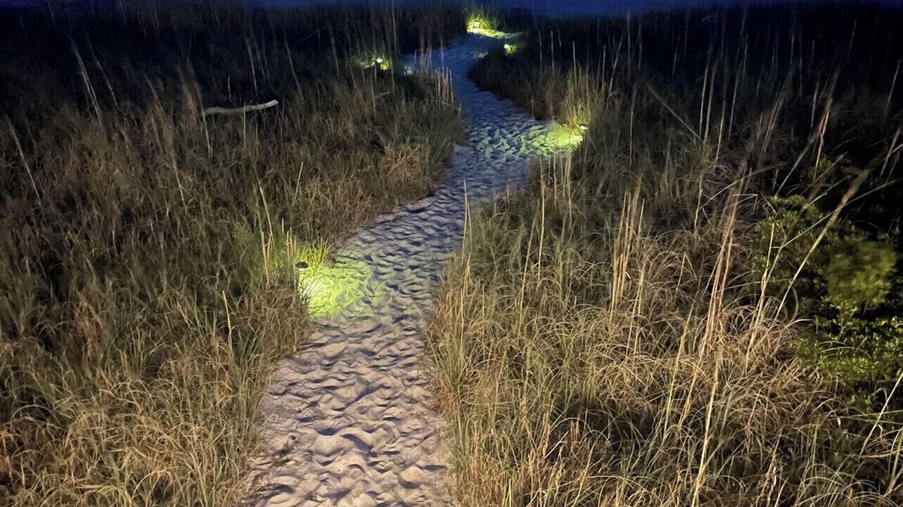 Photo of Outdoor in Alligator Point