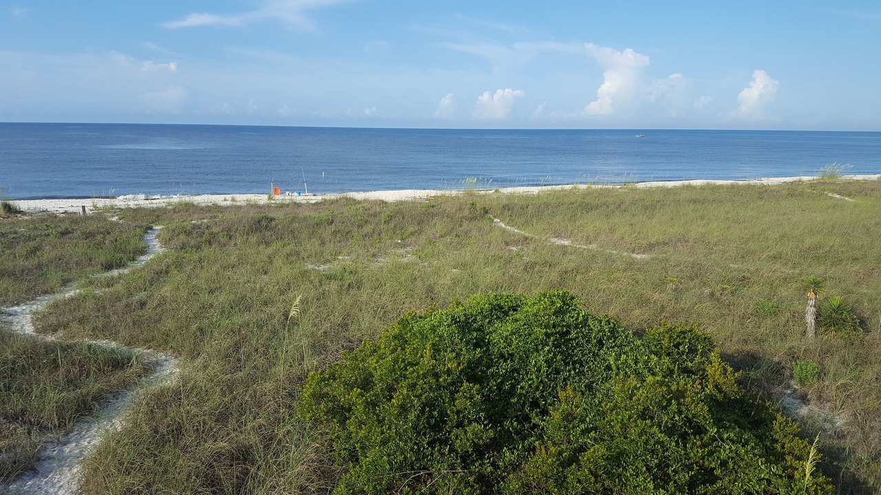 Photo of Others in Alligator Point