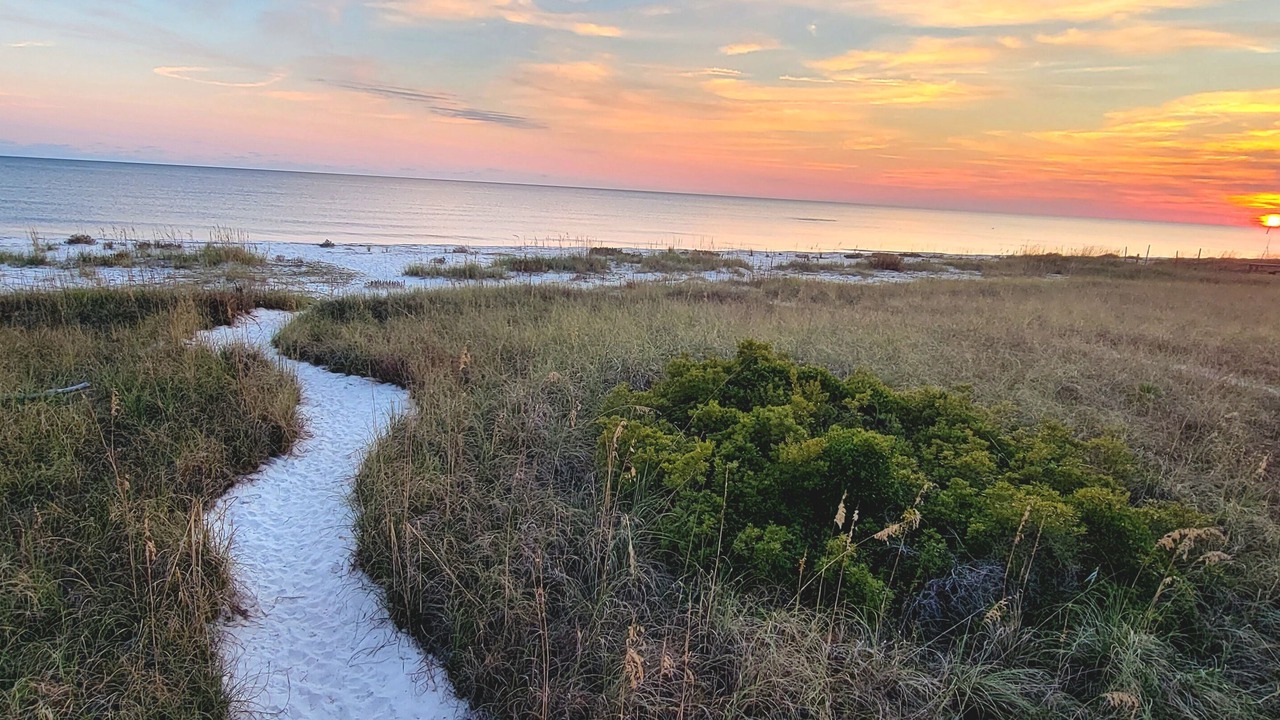 Photo of Others in Alligator Point