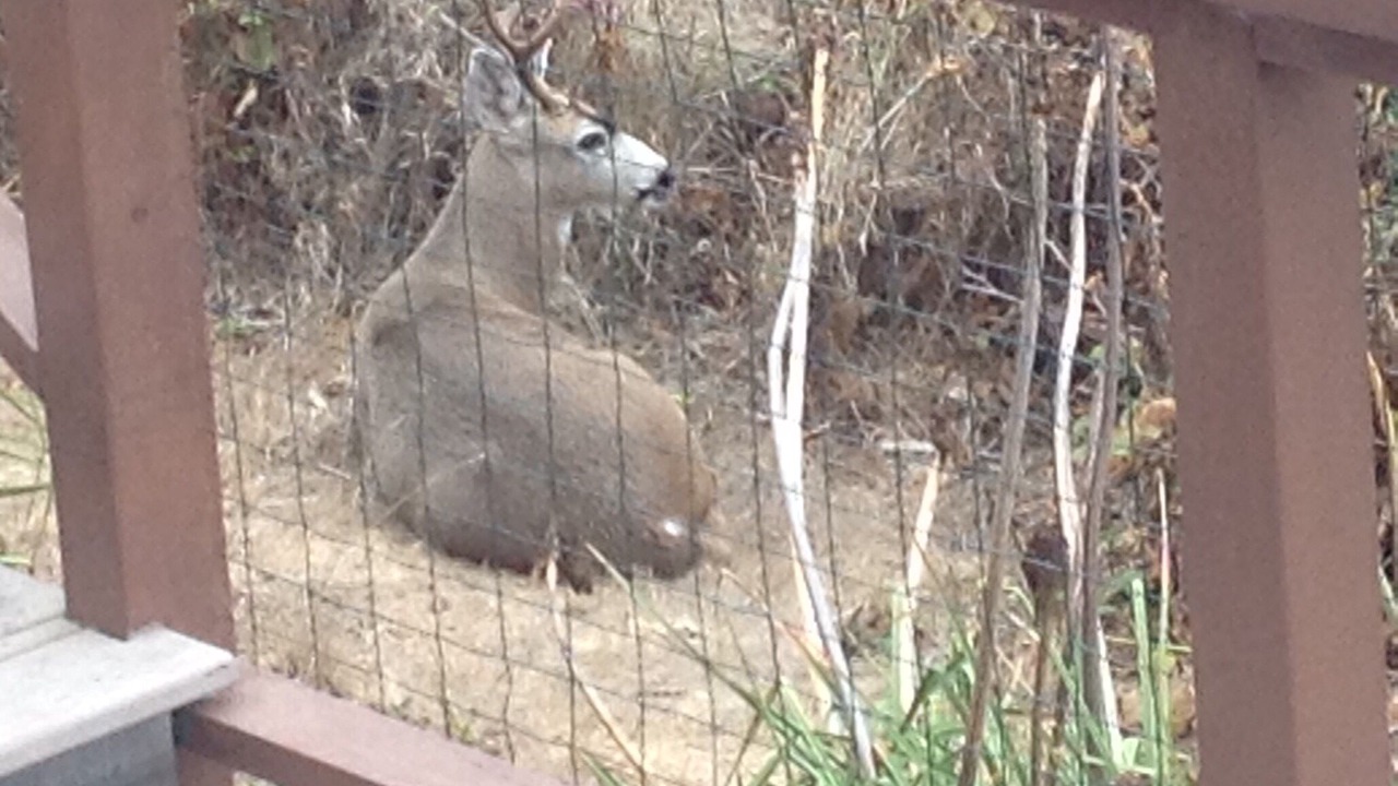 Photo of Others in Manchester