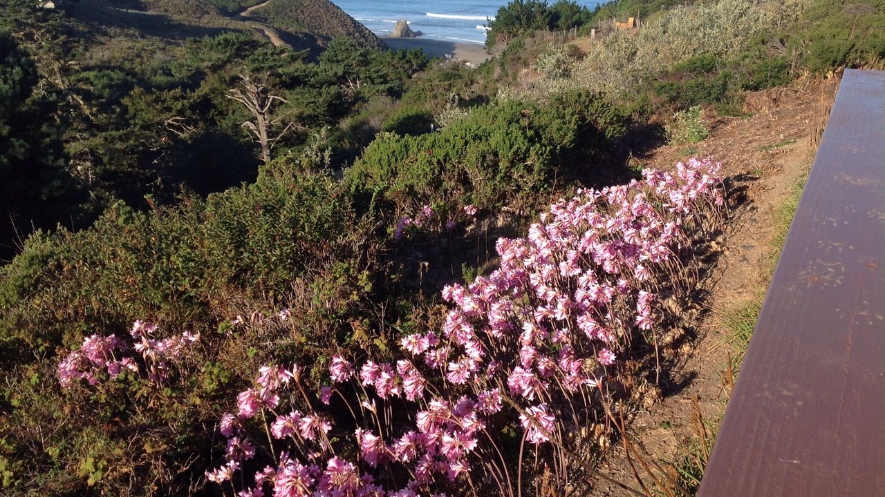 Photo of Others in Manchester