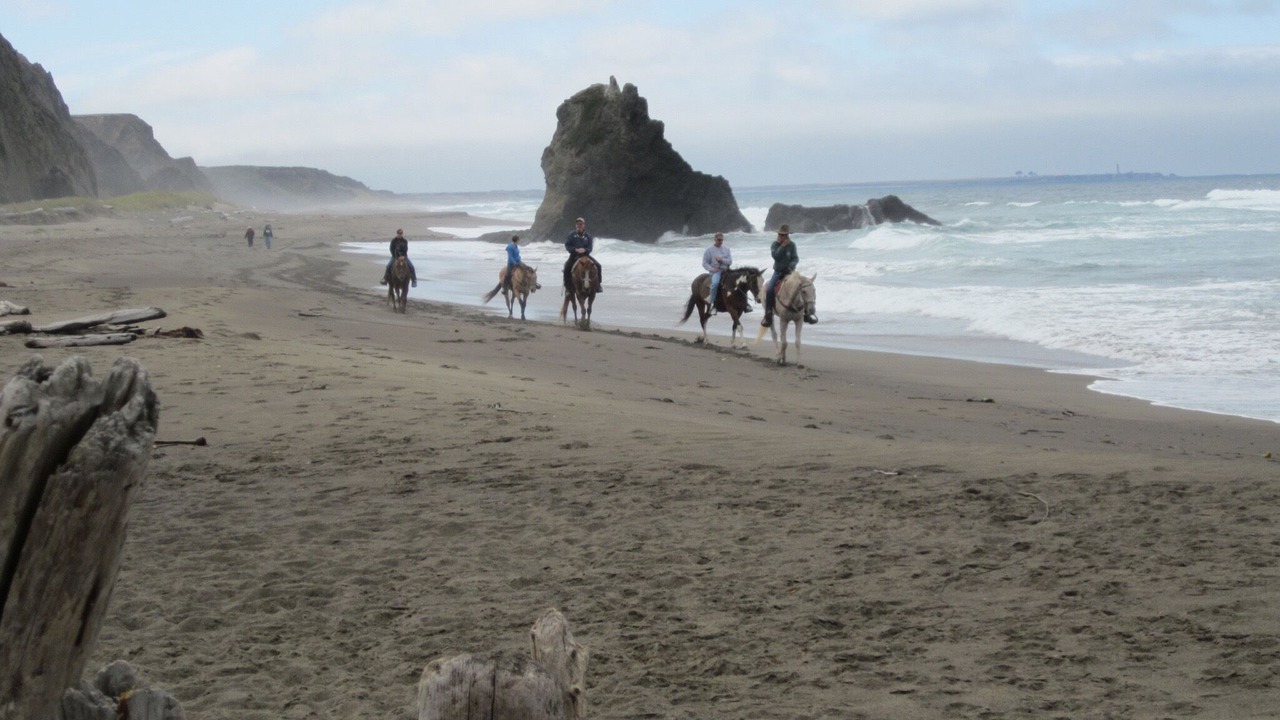 Photo of Others in Manchester