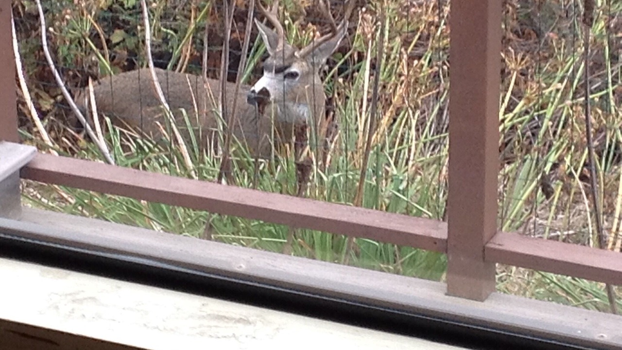Photo of Others in Manchester