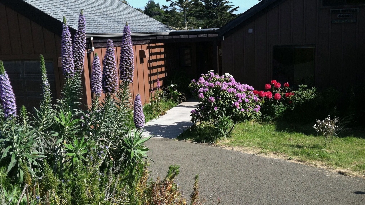 Photo of Others in Manchester