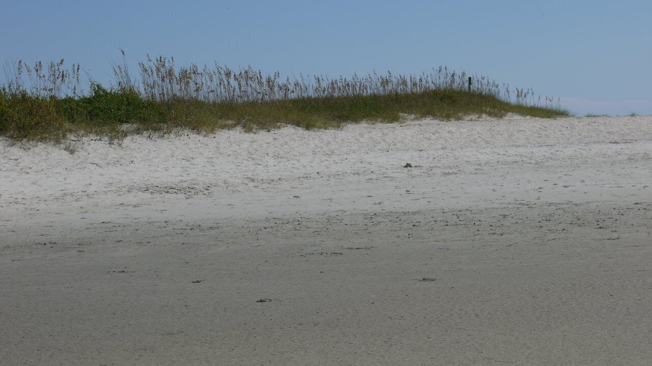 Photo of Others in Myrtle Beach