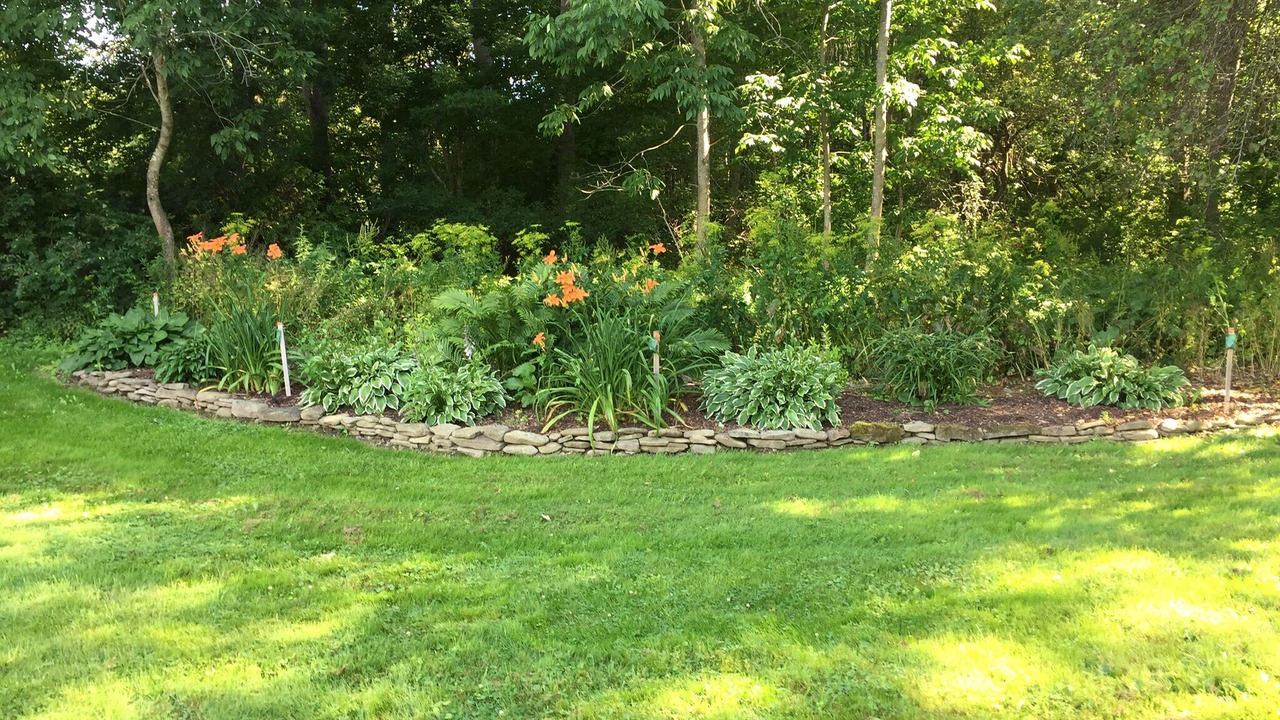 Photo of Outdoor in Rexville