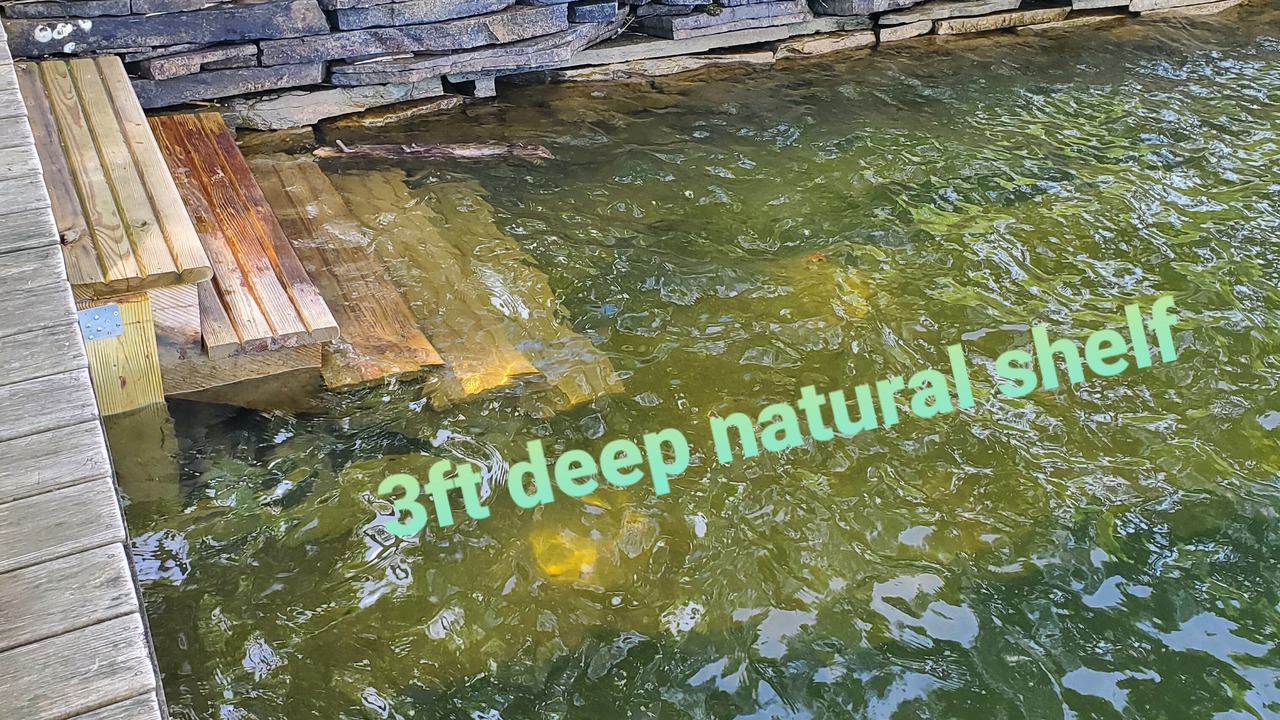 Photo of Others in Rushford Lake