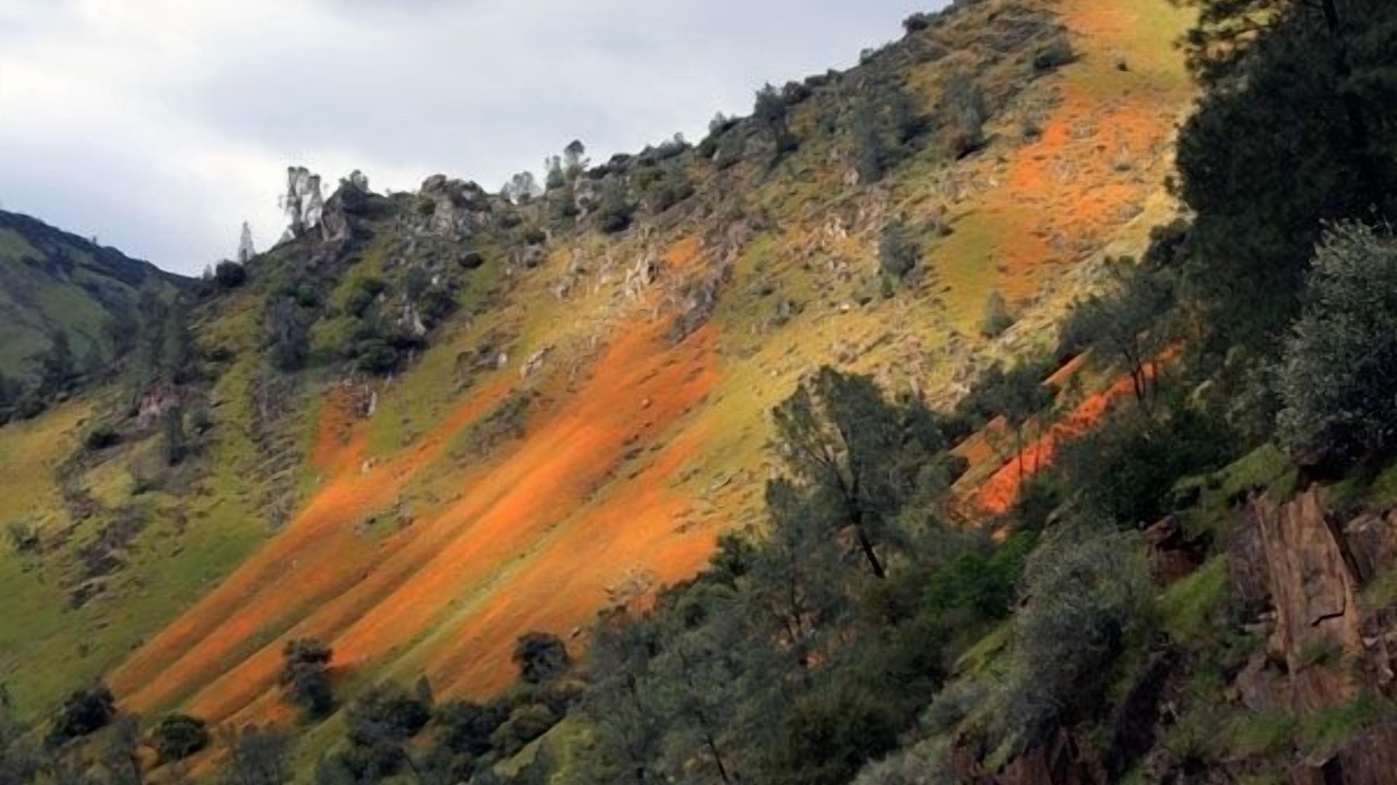 Photo of Others in El Portal