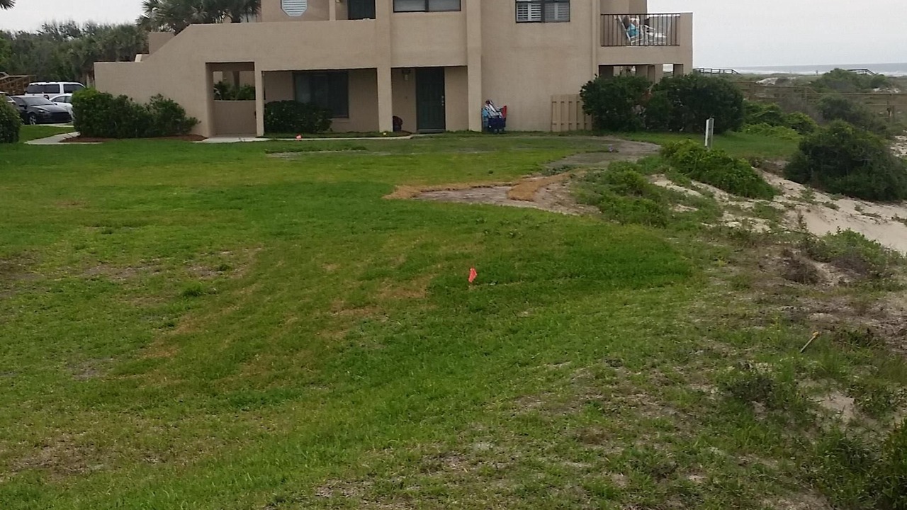 Photo of Others in Amelia City