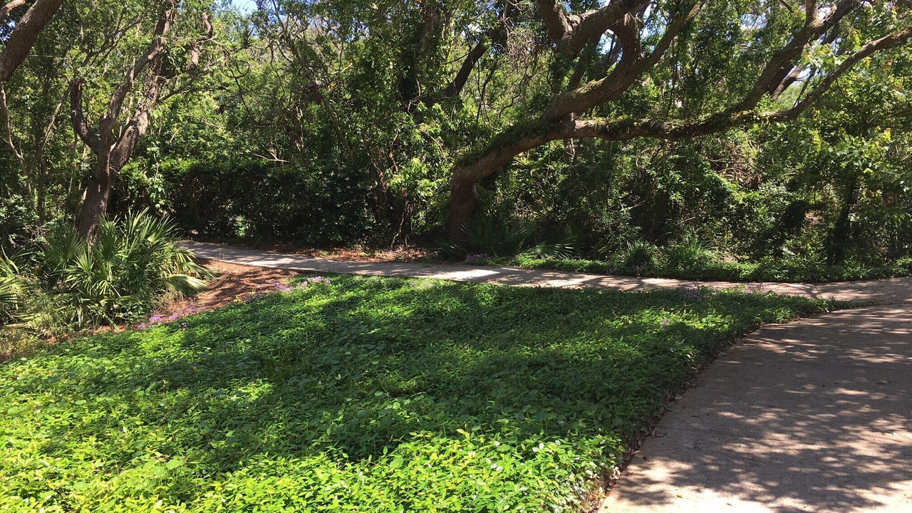 Photo of Outdoor in Amelia City