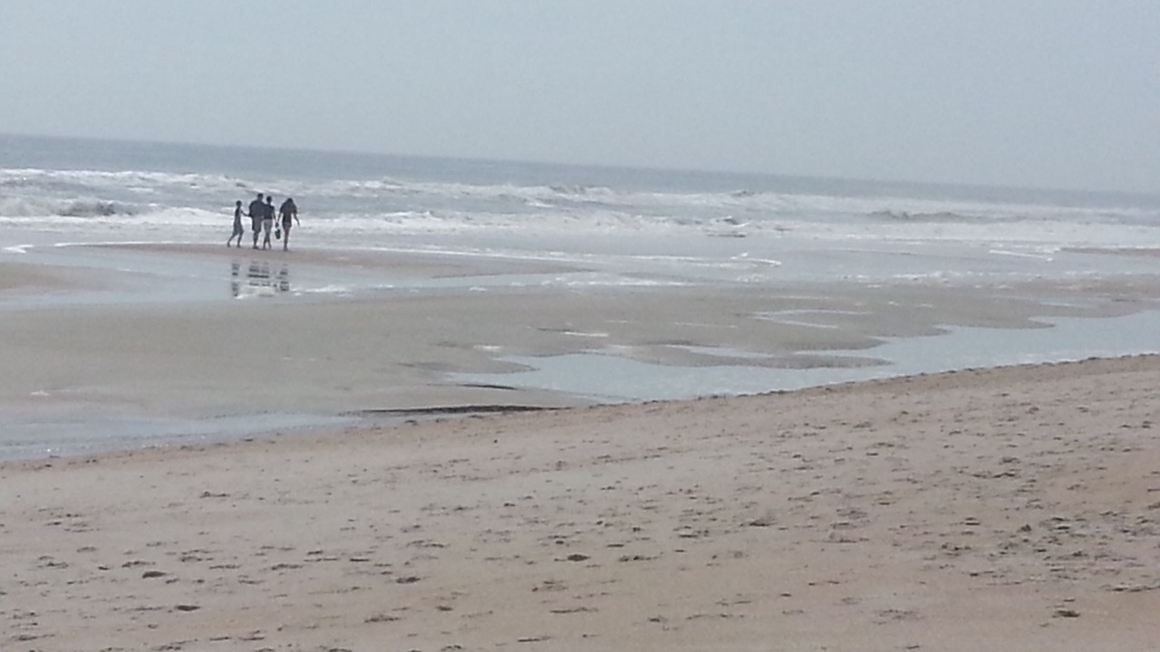 Photo of Others in Amelia City
