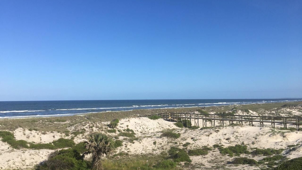 Photo of Others in Amelia City