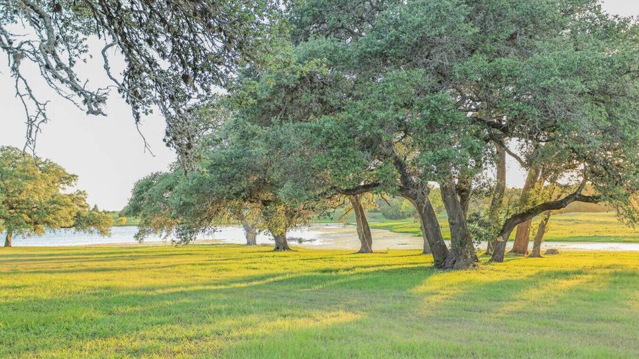 Photo of Others in Schulenburg