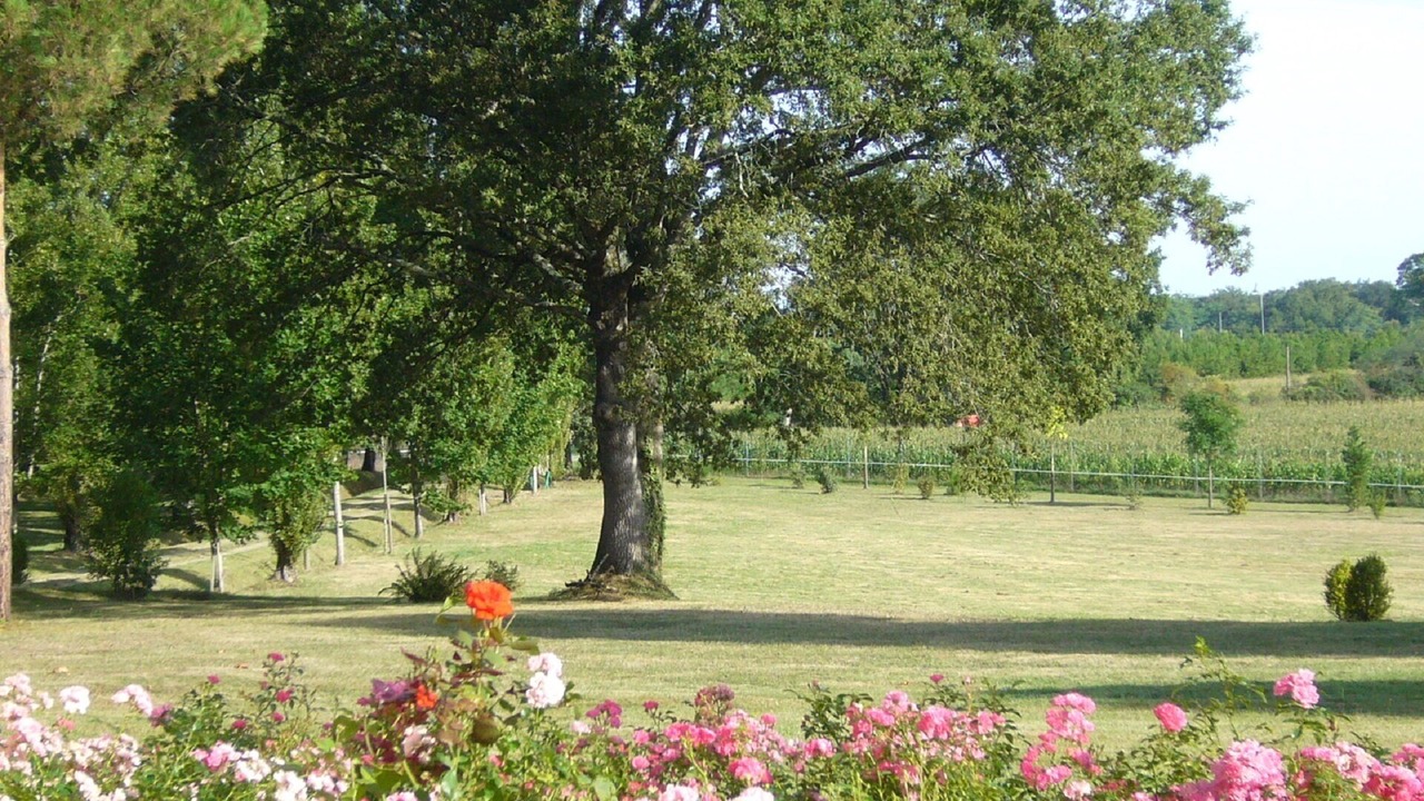 Photo of Outdoor in Saint-Pierre-du-Mont